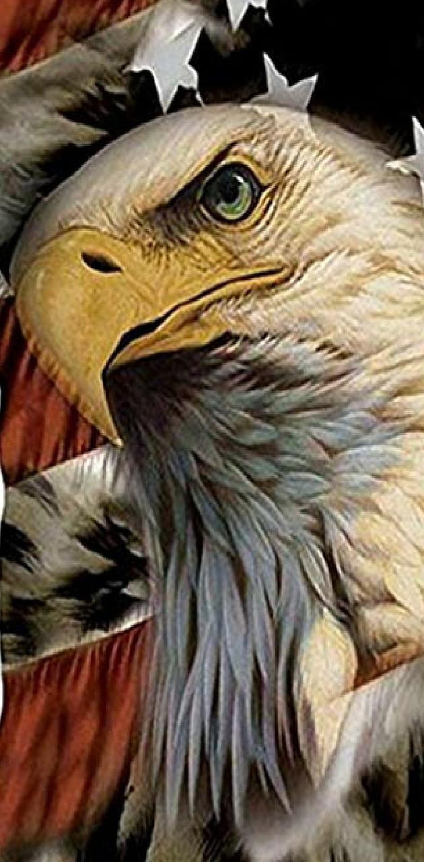 Ojo de águila por Winstonsmom - en ZEDGEâ, Native Eagle fondo de pantalla del teléfono